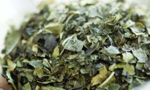 Dried Weeds for Russian Tortoise Diet