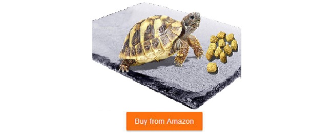 food tile for tortoise