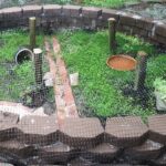Safe Outdoor Enclosure for Baby Russian Tortoise