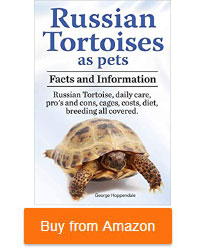 russian tortoises as pets book