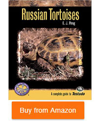 Russian tortoises book
